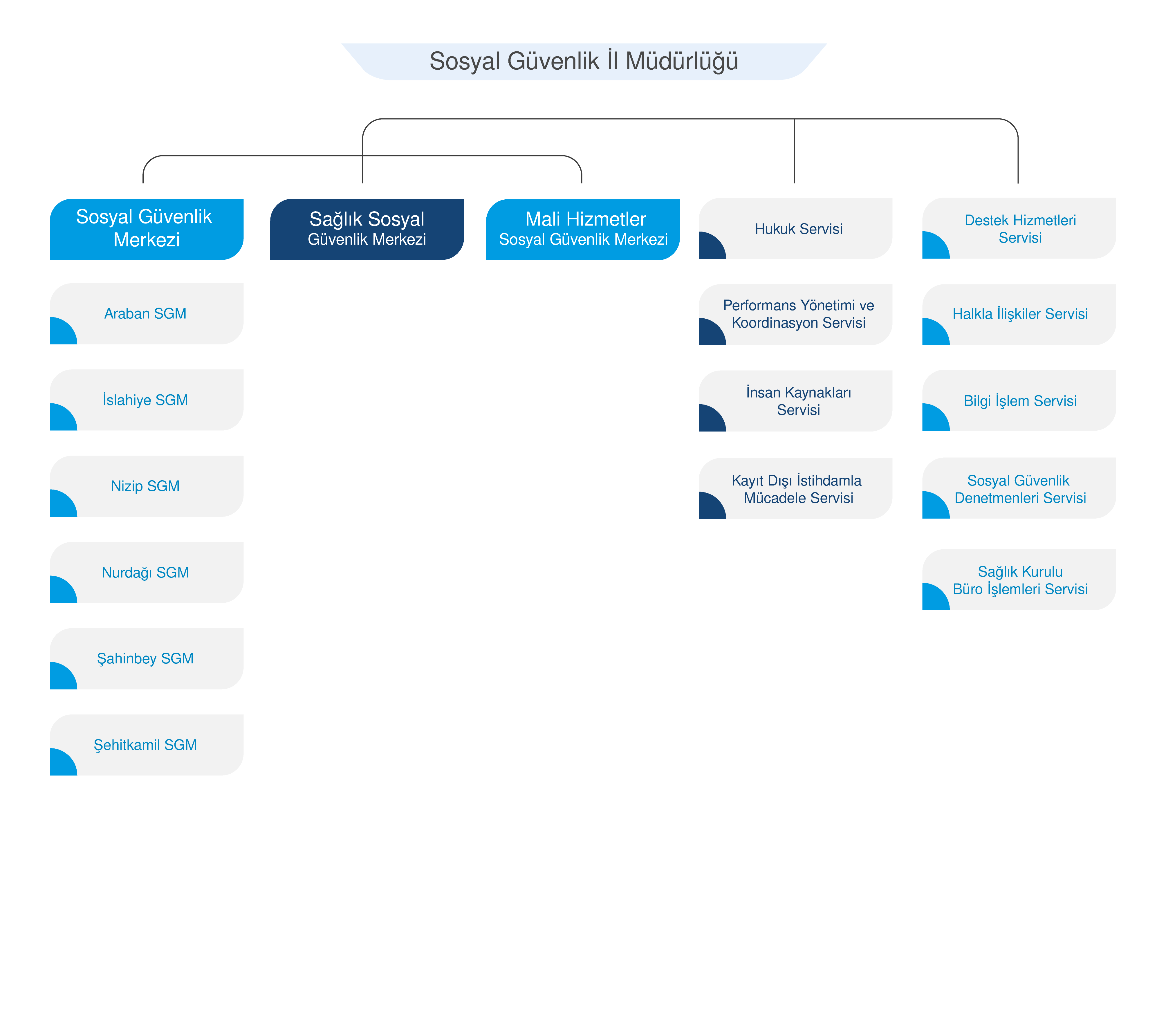 Organizasyon Yapısı