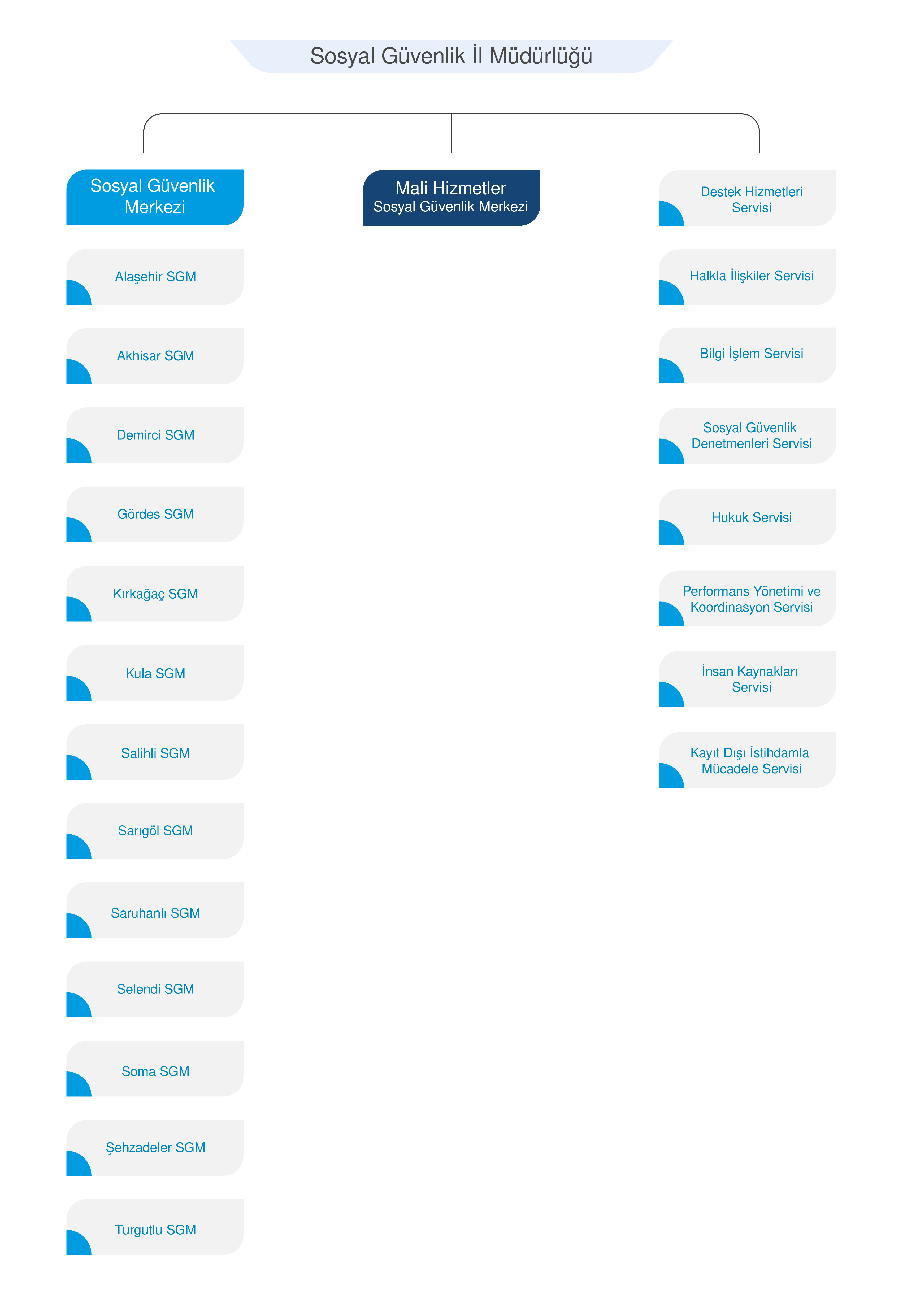 Organizasyon Yapısı