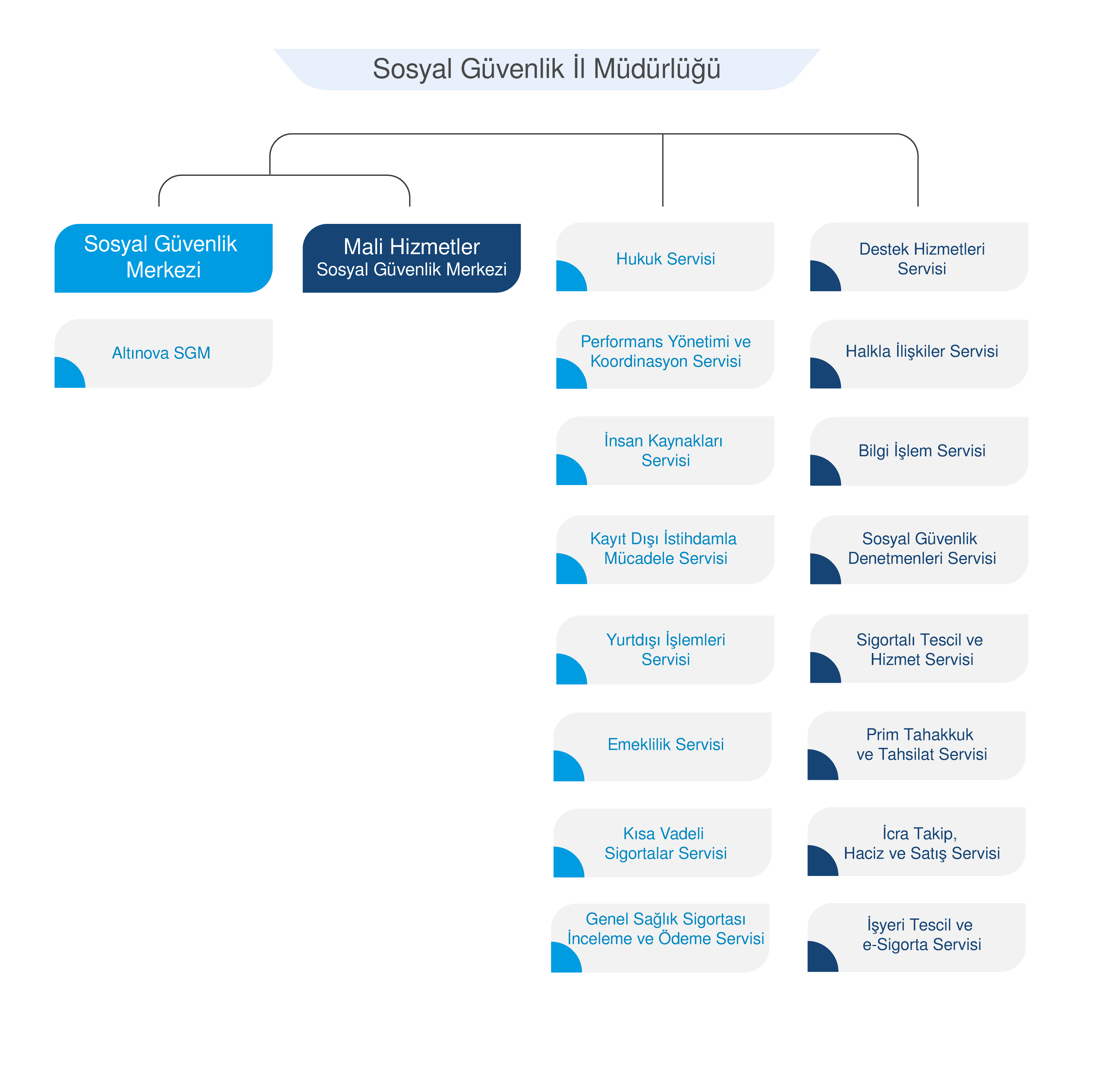 Organizasyon Yapısı