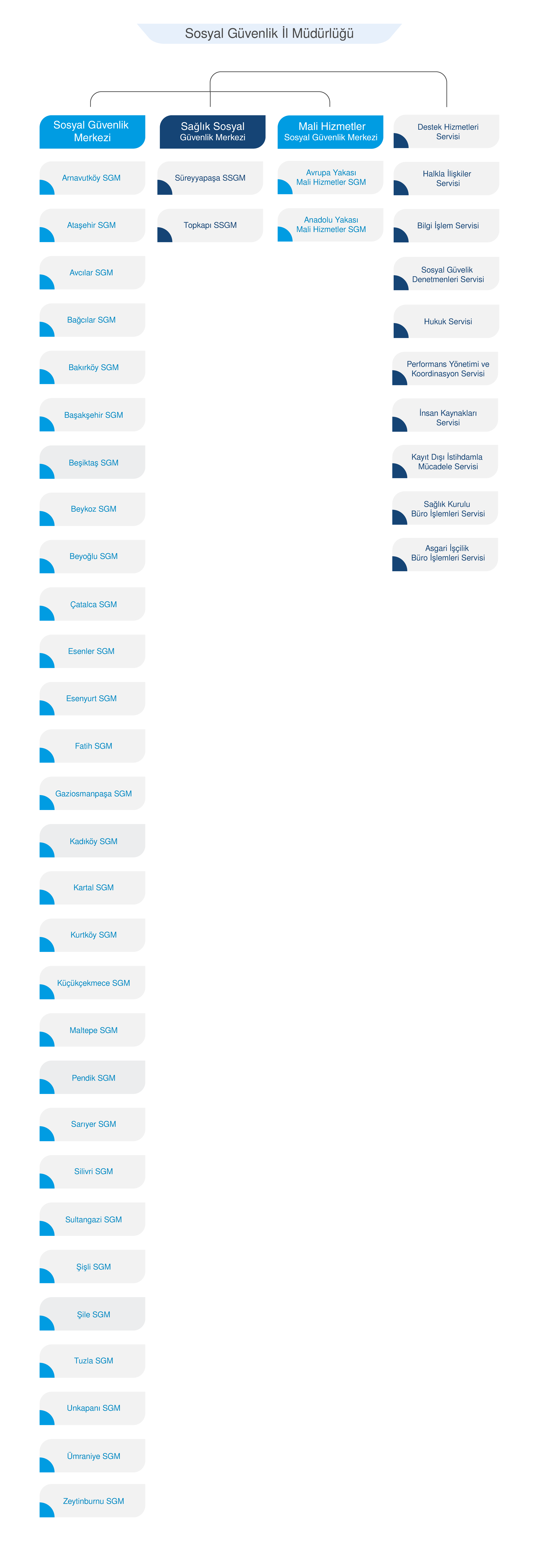 Organizasyon Yapısı